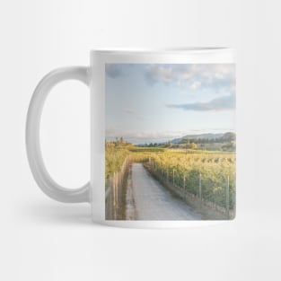 Trail Through Orchards and Vineyards in Summer Mug